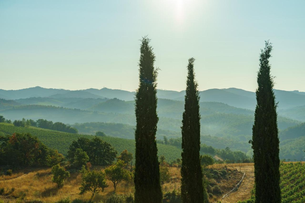 Villa Celle Di Lecchi Nel Chianti San Sano Exterior foto