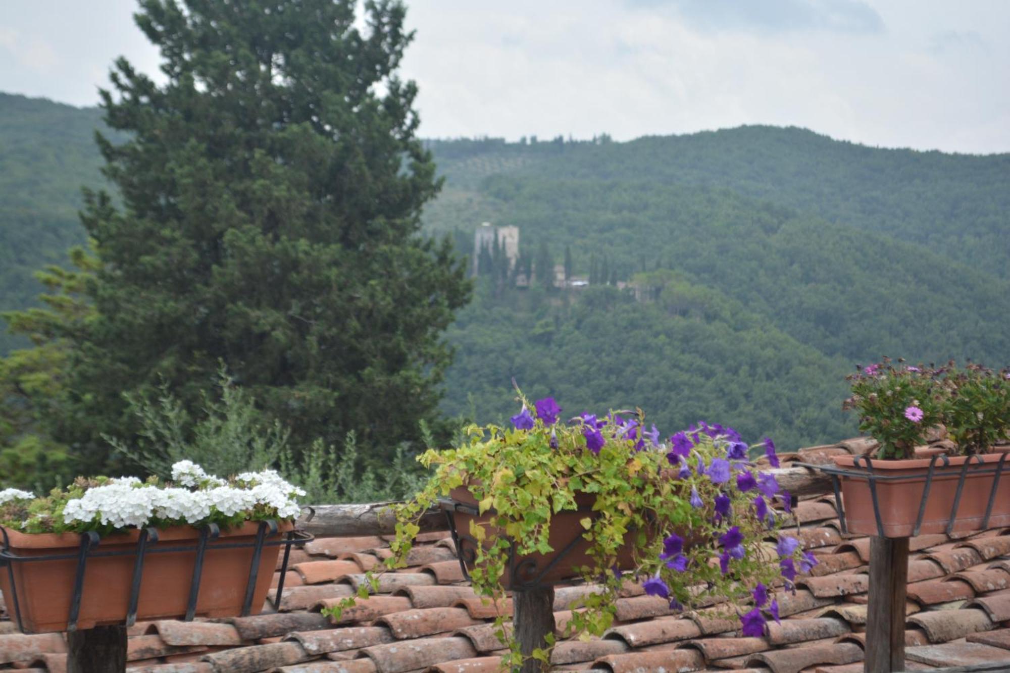 Villa Celle Di Lecchi Nel Chianti San Sano Exterior foto