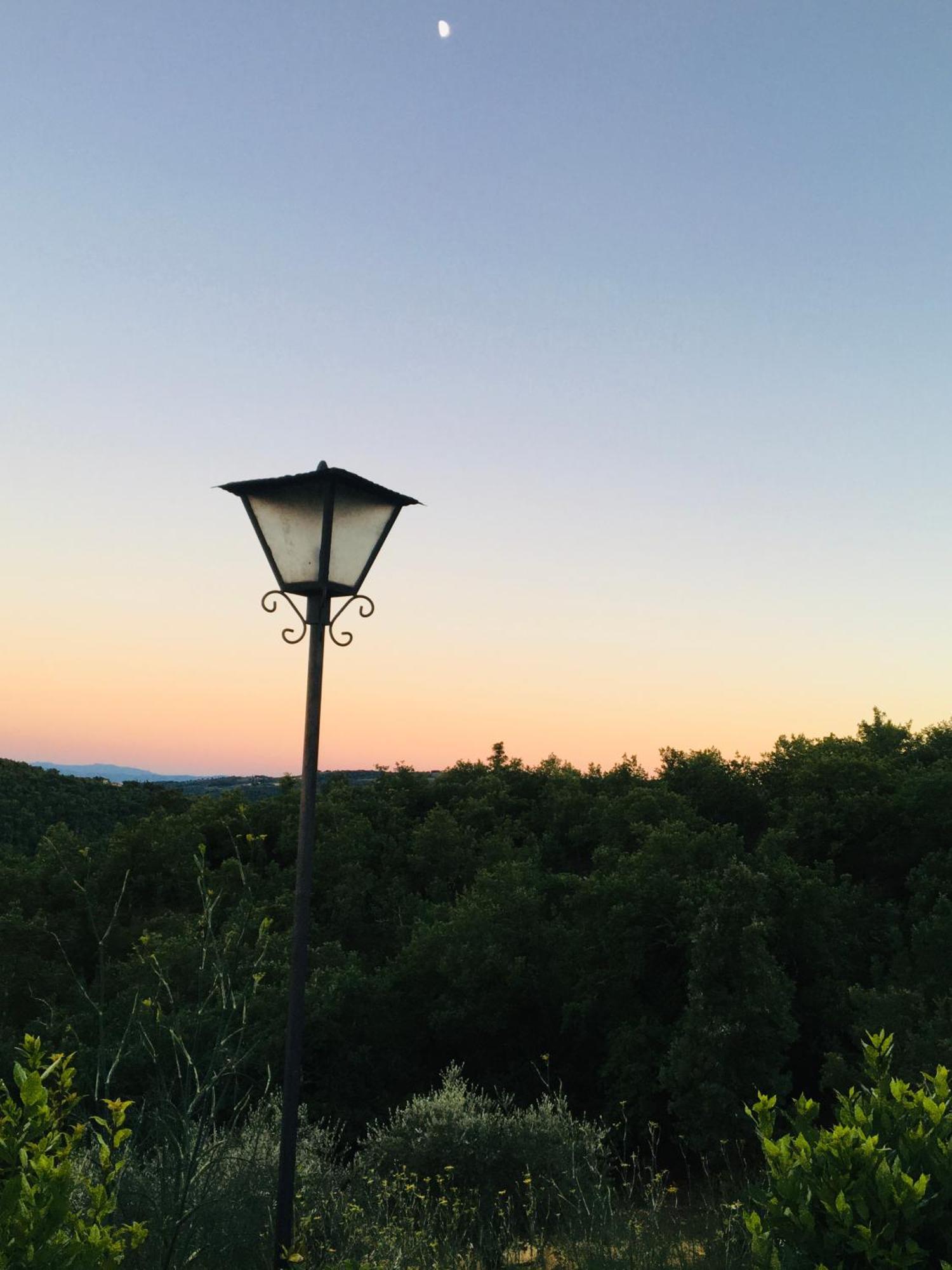 Villa Celle Di Lecchi Nel Chianti San Sano Exterior foto