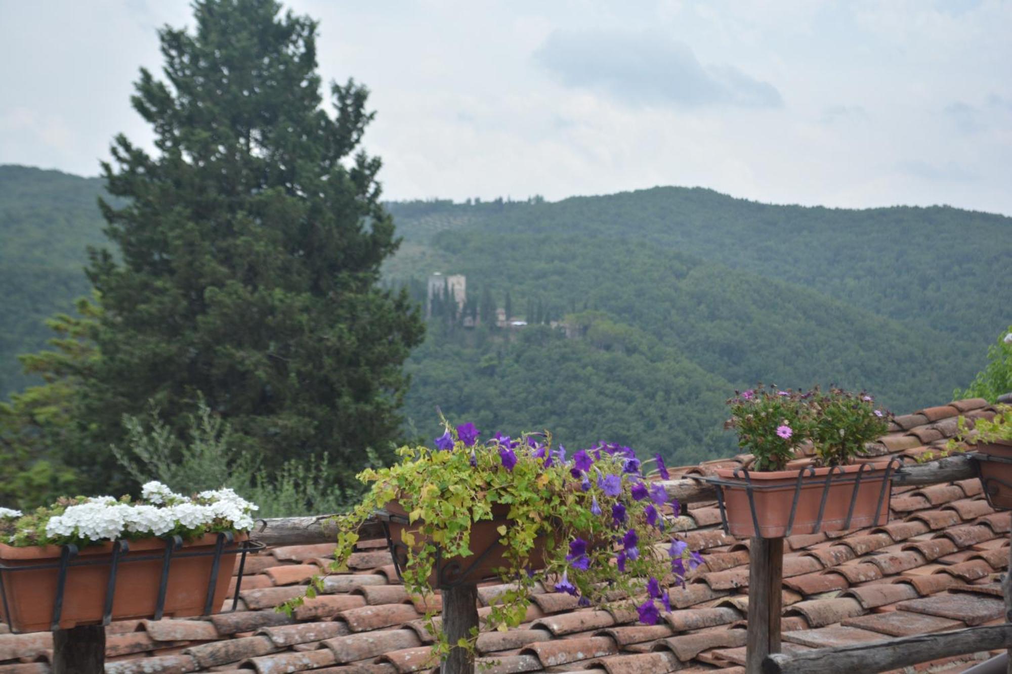 Villa Celle Di Lecchi Nel Chianti San Sano Exterior foto